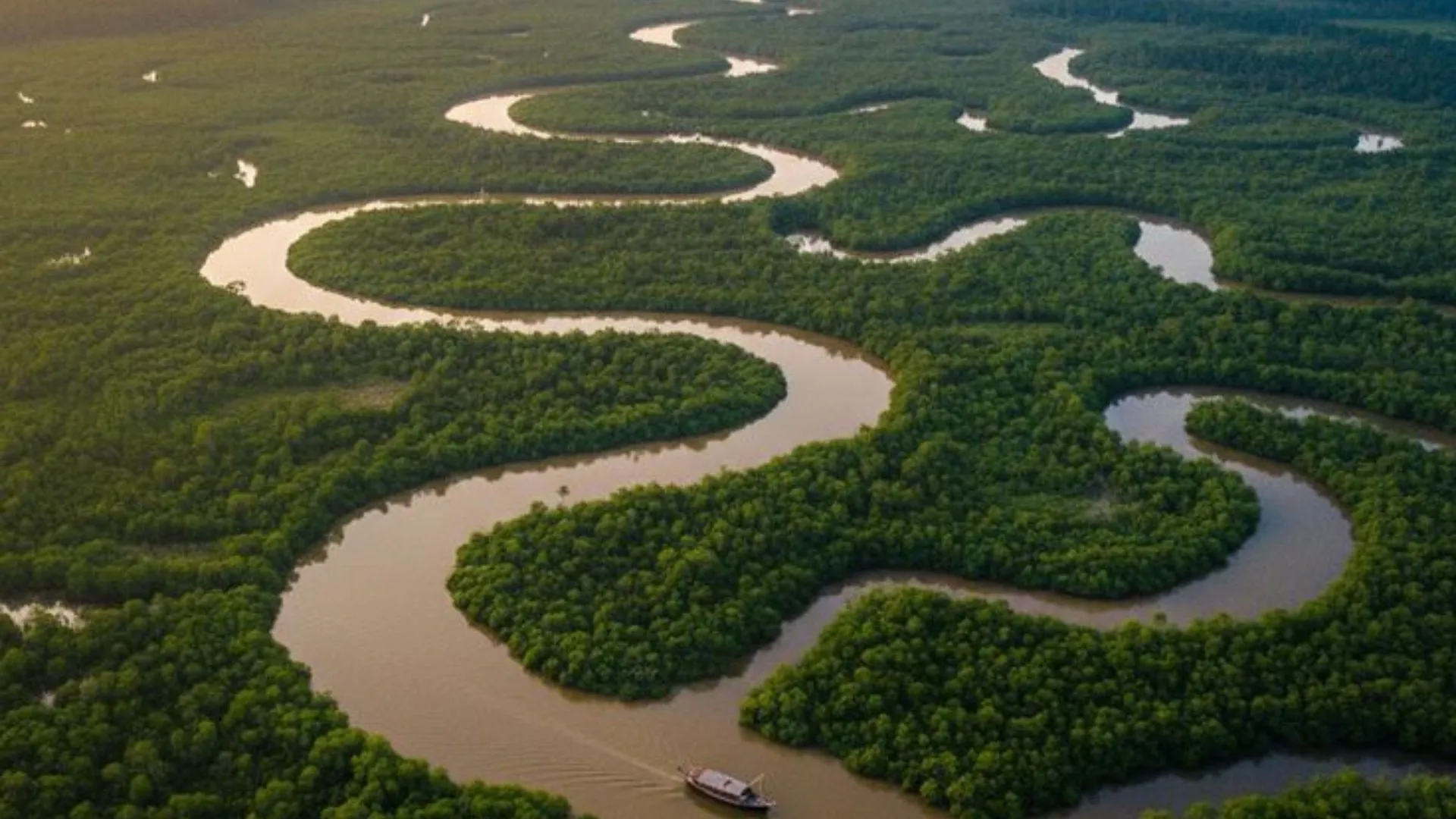 Sundarban One Day Tour